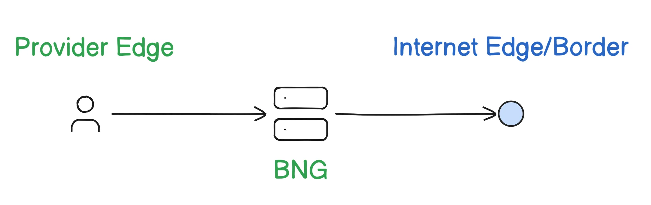 Simplfied diagram of the BNG's role