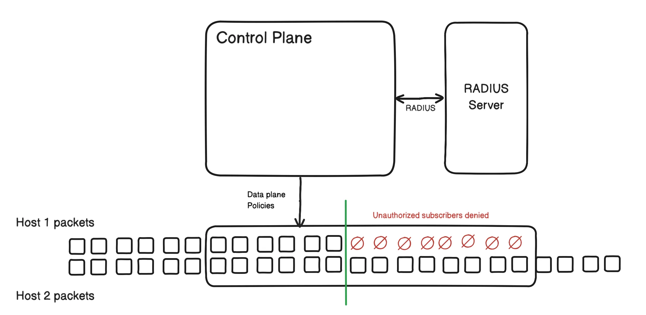 BNG communicating with RADIUS server to authenticate/authorize user packets